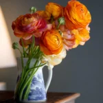 How to Arrange Ranunculus First Image
